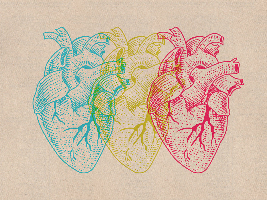 Komar NEU | Keilrahmenbild - Heart Variants - Größe 30 x 40 cm