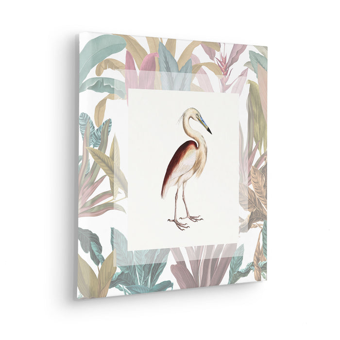 Keilrahmenbild | Uncommon Bird | 40 x 40 cm