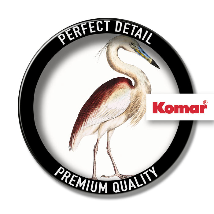 Keilrahmenbild | Uncommon Bird | 40 x 40 cm