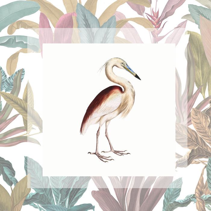 Keilrahmenbild | Uncommon Bird | 40 x 40 cm