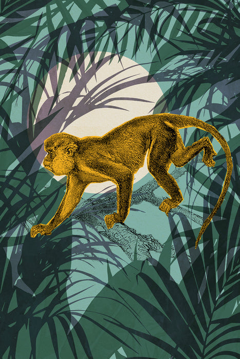 Komar NEU | Keilrahmenbild - Sneaky Monkey - Größe 40 x 60 cm