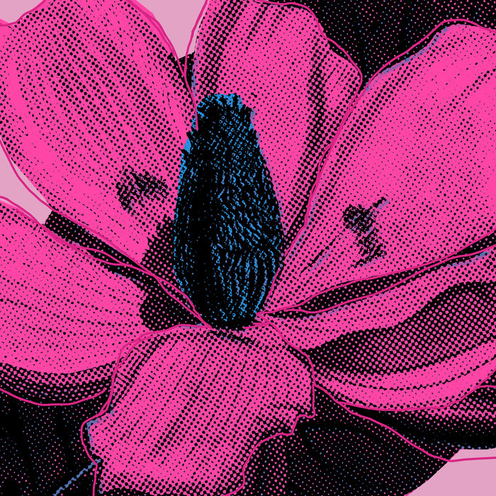 Komar NEU | Keilrahmenbild - Pink Fusion - Größe 60 x 60 cm