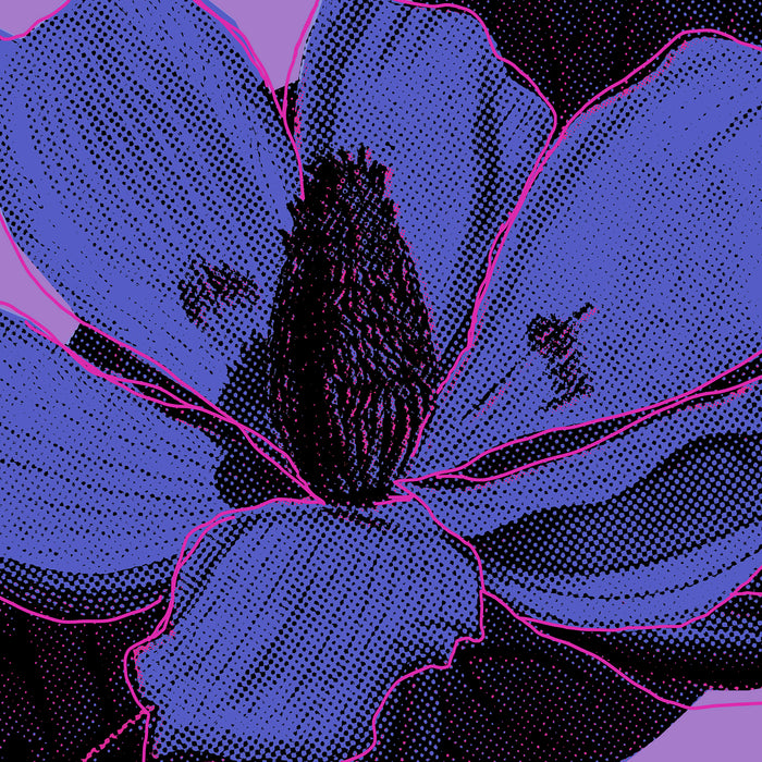 Komar NEU | Keilrahmenbild - Purple Fusion - Größe 60 x 60 cm