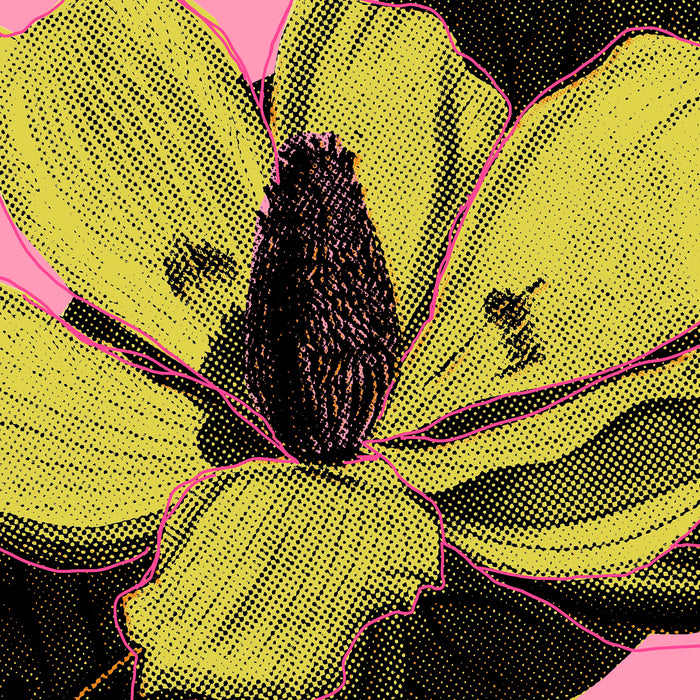 Komar NEU | Keilrahmenbild - Yellow Fusion - Größe 60 x 60 cm