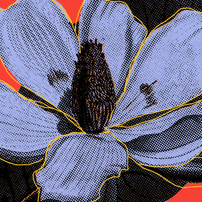 Komar NEU | Keilrahmenbild - Mauve Fusion - Größe 60 x 60 cm