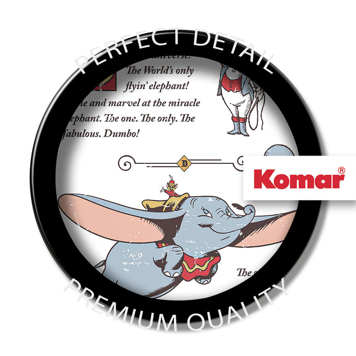 Keilrahmenbild | Dumbo the Flying Elephant | 40 x 60 cm