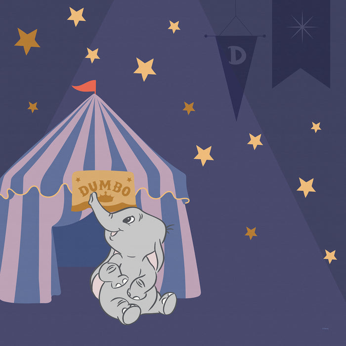 Keilrahmenbild | Starry Night with Dumbo | 60 x 60 cm