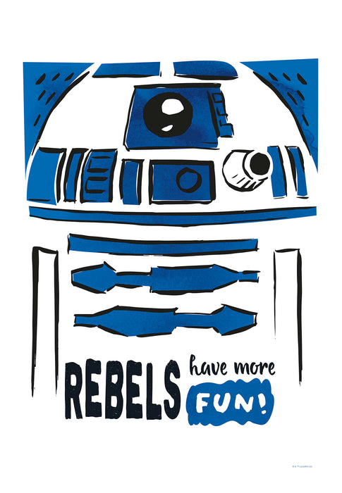Keilrahmenbild | Star Wars R2D2 More Fun | 40 x 60 cm