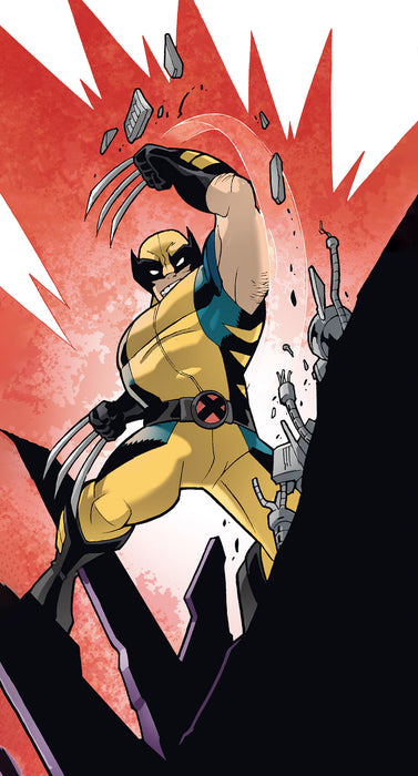 Keilrahmenbild | X | Men Wolverine Slit | 30 x 60 cm