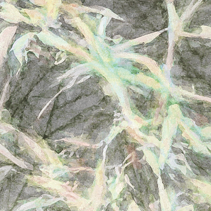 Digitaldruck Vlies Fototapete | Côte d’Azur | 200 x 250 cm