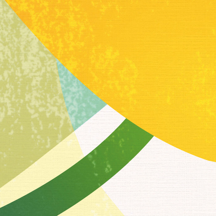 Digitaldruck Vlies Fototapete | Lemon Fresh | 200 x 250 cm