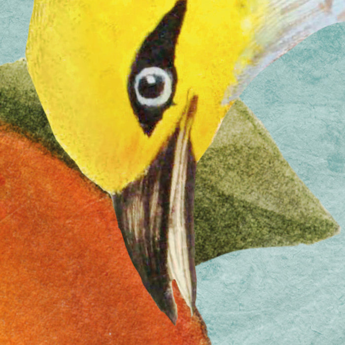 Digitaldruck Vlies Fototapete | Birds and Berries | 200 x 250 cm