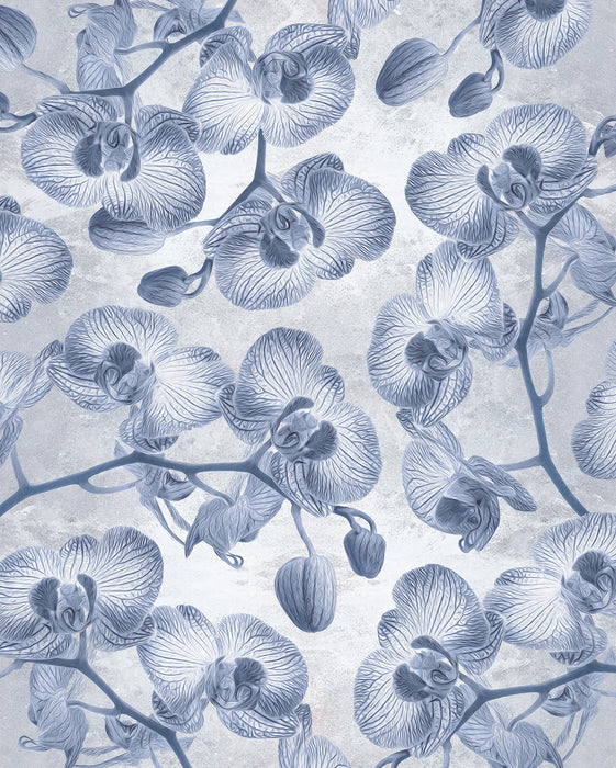 Digitaldruck Vlies Fototapete | Orchidée | 200 x 250 cm