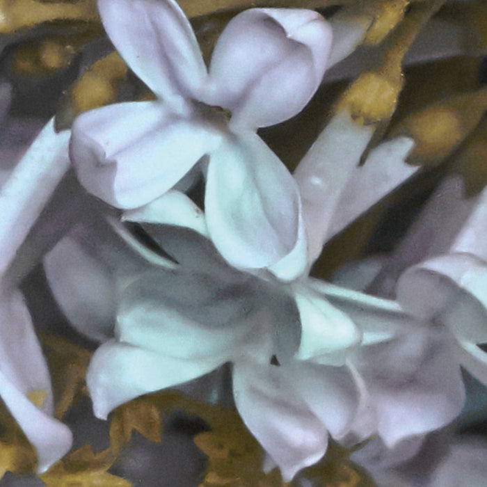Digitaldruck Vlies Fototapete | Gentle Bloom | 200 x 250 cm