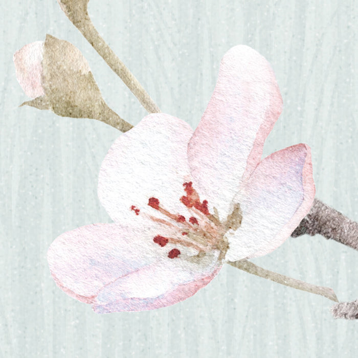 Digitaldruck Vlies Fototapete | Apple Bloom | 250 x 250 cm