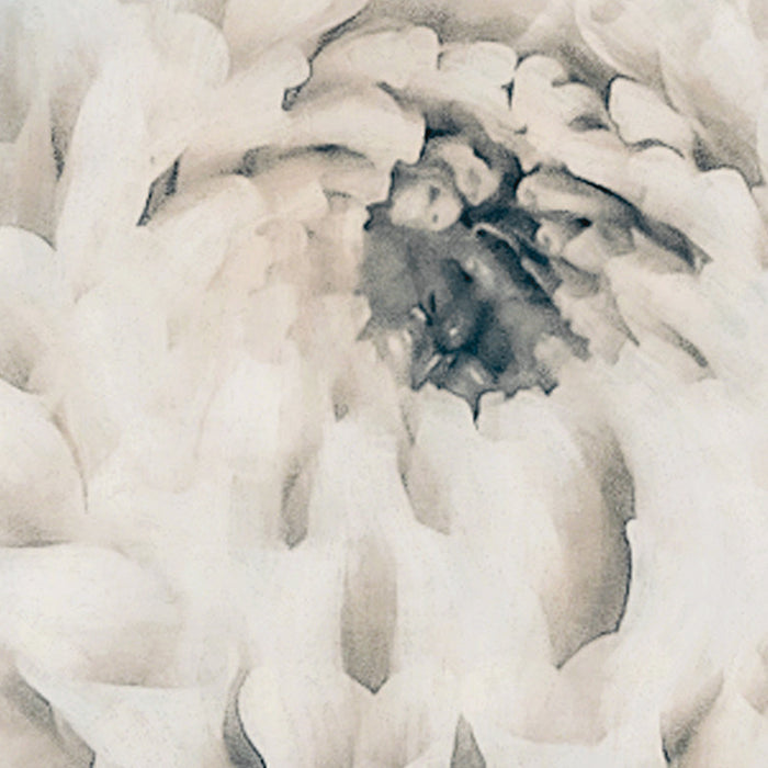 Digitaldruck Vlies Fototapete | Blossom Clouds | 250 x 250 cm