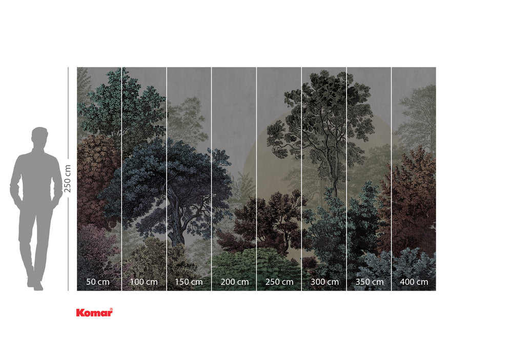 Digitaldruck Vlies Fototapete | Bois Brumeux | 400 x 250 cm