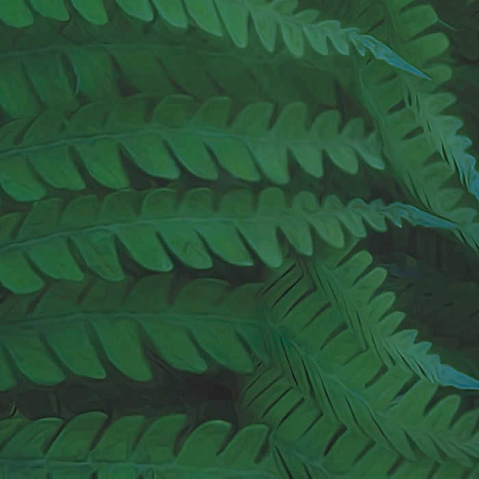 Digitaldruck Vlies Fototapete | Jungle Morning | 400 x 250 cm