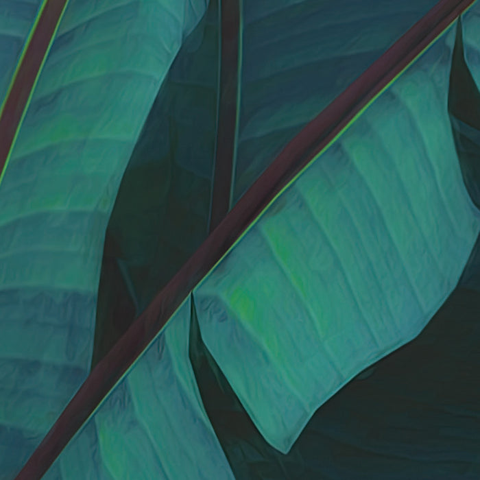 Digitaldruck Vlies Fototapete | Jungle Morning | 400 x 250 cm