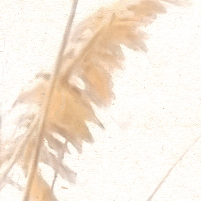 Digitaldruck Vlies Fototapete | Dune Grass | 400 x 250 cm