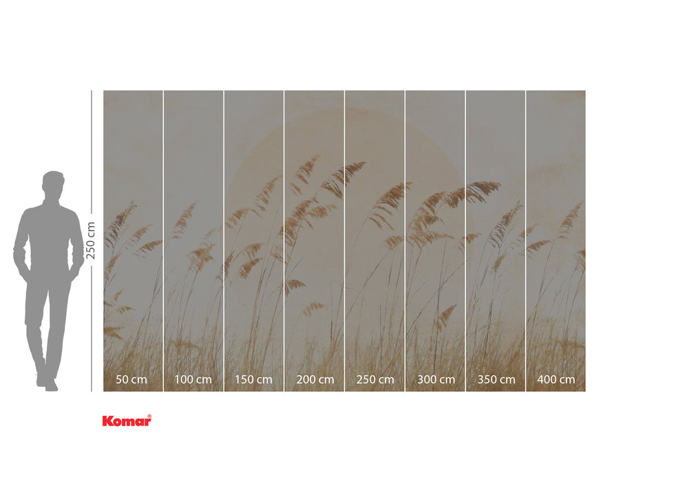 Digitaldruck Vlies Fototapete | Dune Grass | 400 x 250 cm
