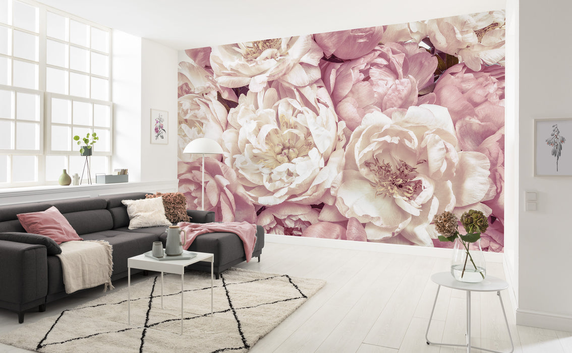 Vlies Fototapete | Peonies | 368 x 248 cm