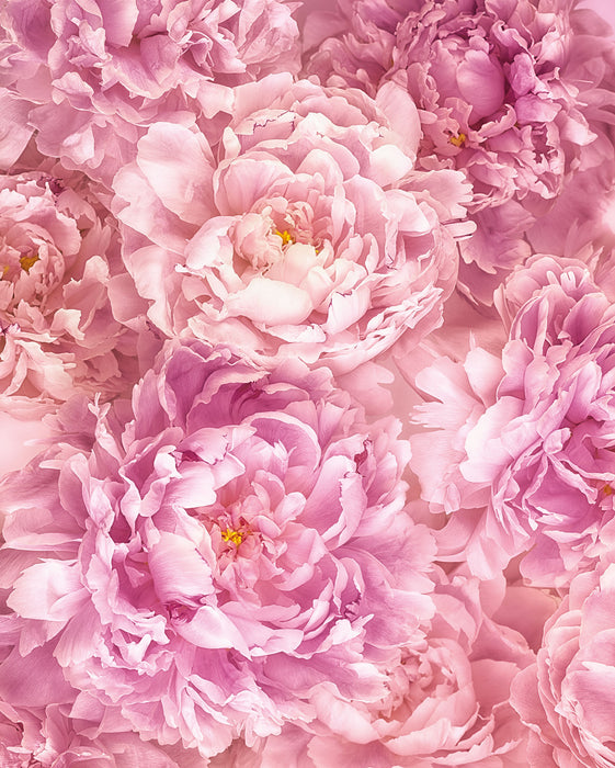 Digitaldruck Vlies Fototapete | Soave