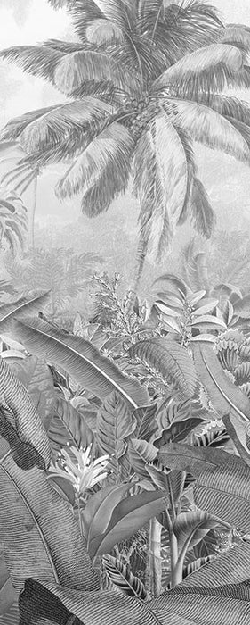 Digitaldruck Vlies Fototapete | Amazonia Black and White Panel | 100 x 250 cm