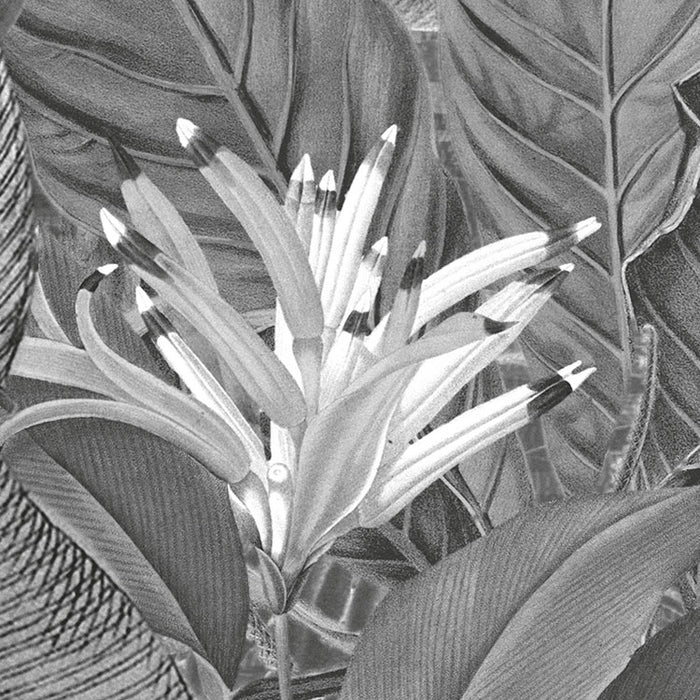 Digitaldruck Vlies Fototapete | Amazonia Black & White | 400 x 250 cm