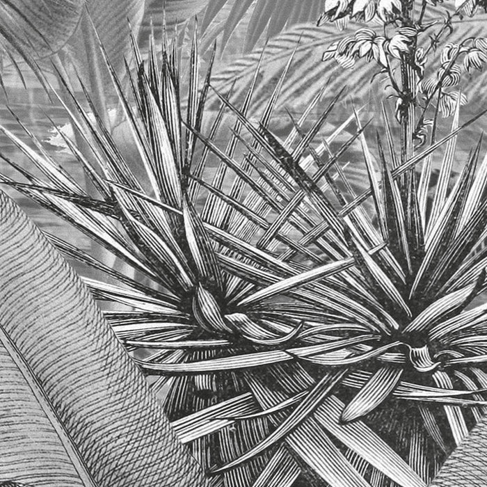 Digitaldruck Vlies Fototapete | Amazonia Black & White | 400 x 250 cm
