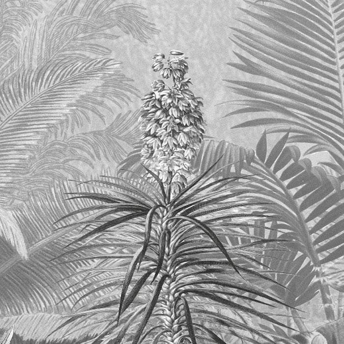 Digitaldruck Vlies Fototapete | Amazonia Black & White | 400 x 250 cm