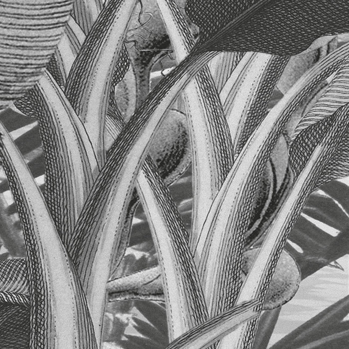 Digitaldruck Vlies Fototapete | Amazonia Black & White | 400 x 250 cm