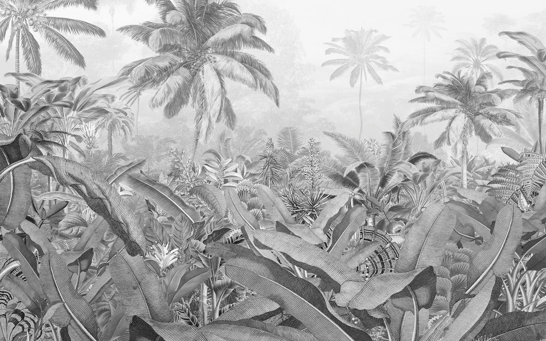 Digitaldruck Vlies Fototapete | Amazonia Black & White | 400 x 250 cm