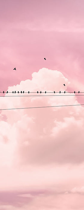 Digitaldruck Vlies Fototapete | Cloud Wire Panel | 100 x 250 cm