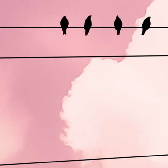 Digitaldruck Vlies Fototapete | Cloud Wire | 400 x 250 cm