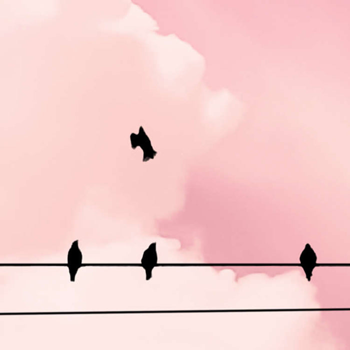 Digitaldruck Vlies Fototapete | Cloud Wire | 400 x 250 cm