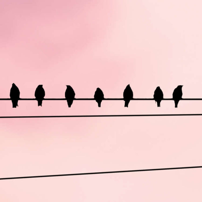 Digitaldruck Vlies Fototapete | Cloud Wire | 400 x 250 cm