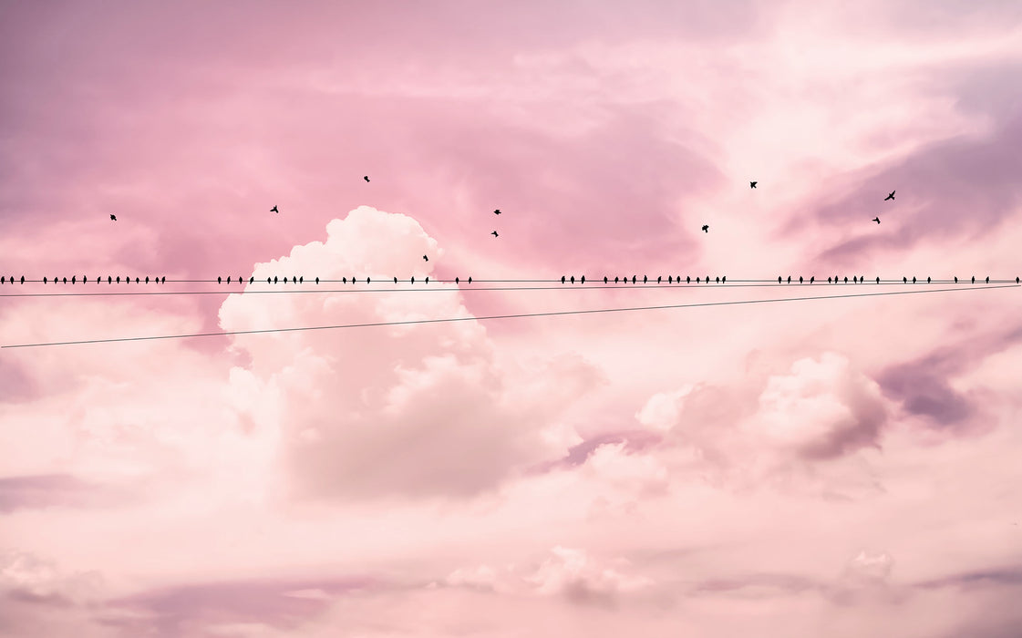 Digitaldruck Vlies Fototapete | Cloud Wire | 400 x 250 cm