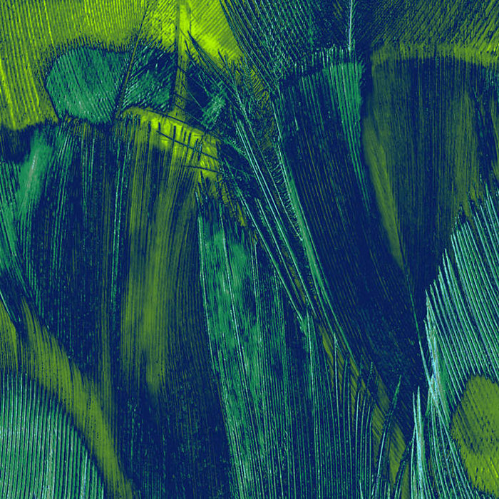 Digitaldruck Vlies Fototapete | Feathers | 200 x 250 cm