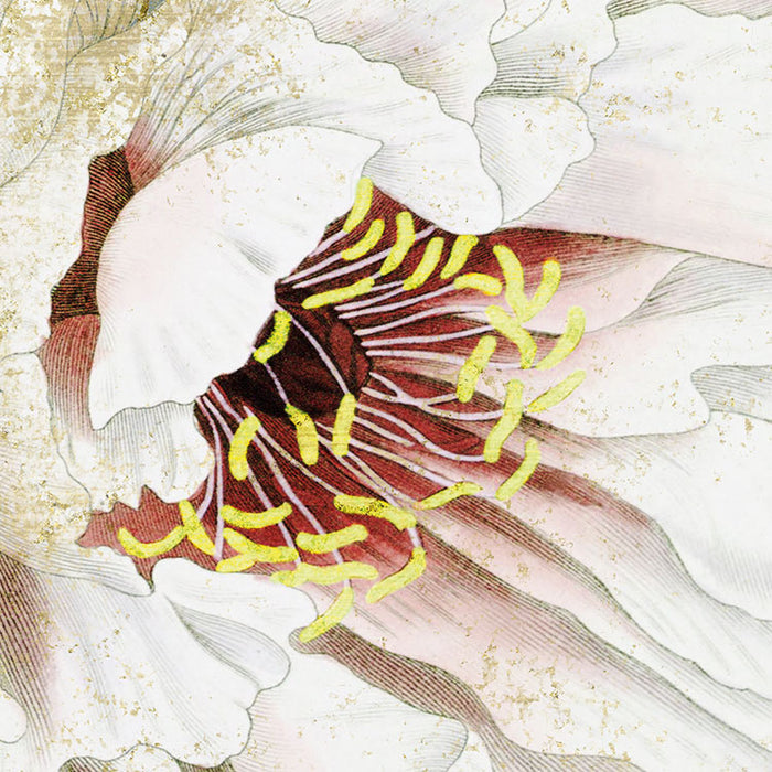 Digitaldruck Vlies Fototapete | La Rosa | 200 x 250 cm