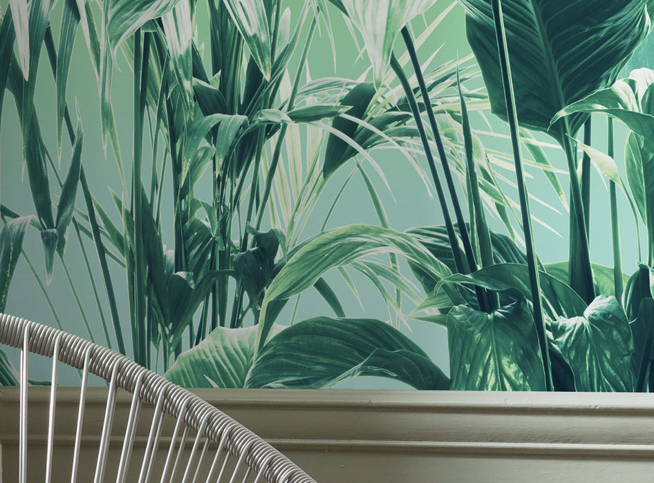 Digitaldruck Vlies Fototapete | Evergreen | 200 x 250 cm