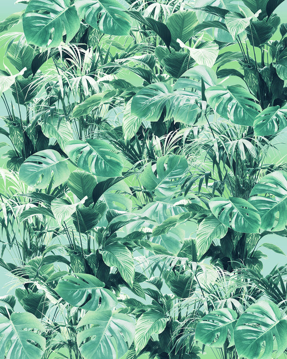 Digitaldruck Vlies Fototapete | Evergreen | 200 x 250 cm