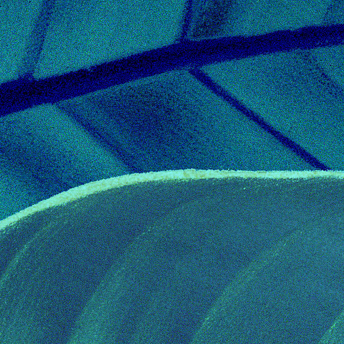 Digitaldruck Vlies Fototapete | Foliage | 200 x 250 cm