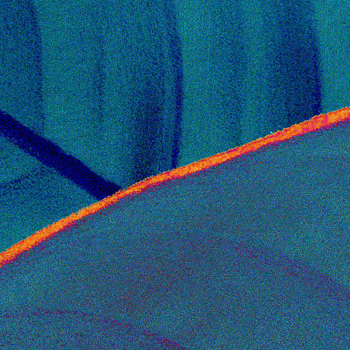 Digitaldruck Vlies Fototapete | Foliage | 200 x 250 cm