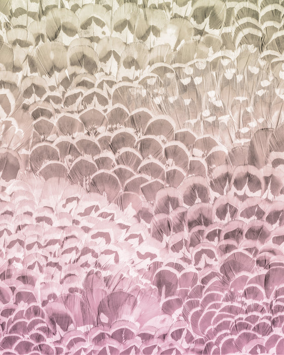 Digitaldruck Vlies Fototapete | Pale Feathers | 200 x 250 cm
