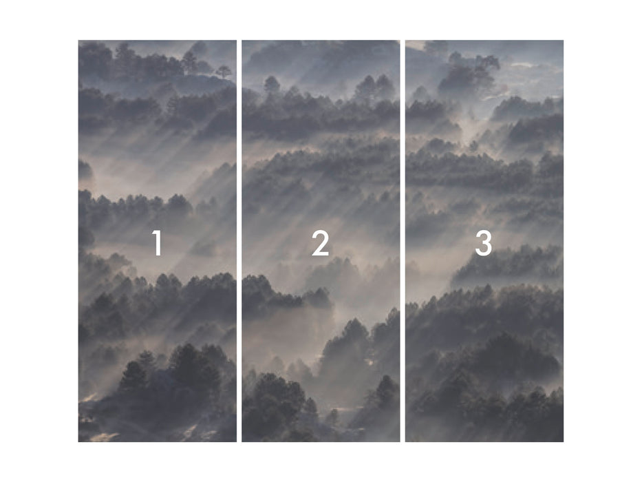 Digitaldruck Vlies Fototapete | Rays | 300 x 250 cm