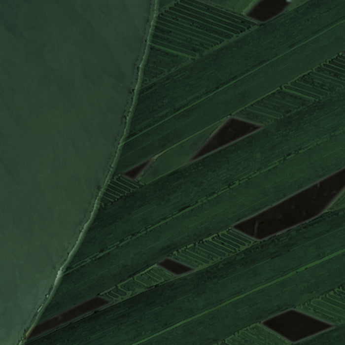Digitaldruck Vlies Fototapete | Monstera on Marble | 200 x 250 cm