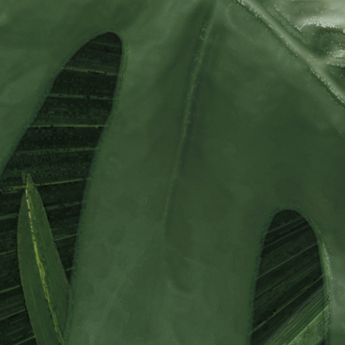 Digitaldruck Vlies Fototapete | Monstera on Marble | 200 x 250 cm