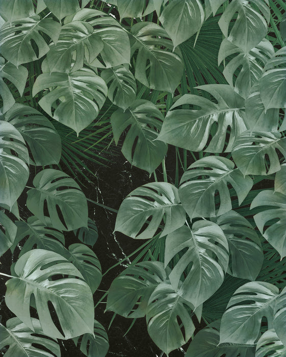 Digitaldruck Vlies Fototapete | Monstera on Marble | 200 x 250 cm