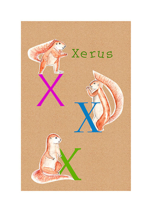 Komar NEU | Wandbild - ABC Animal X - Größe 30 x 40 cm